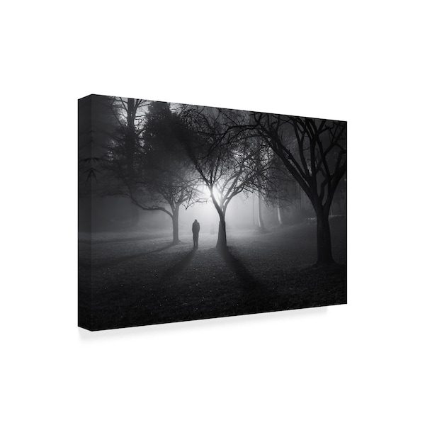 Yavuz Pancareken 'In A Land Of Mist' Canvas Art,12x19